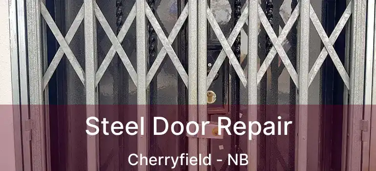  Steel Door Repair Cherryfield - NB