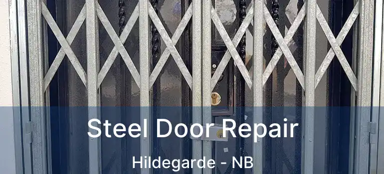  Steel Door Repair Hildegarde - NB