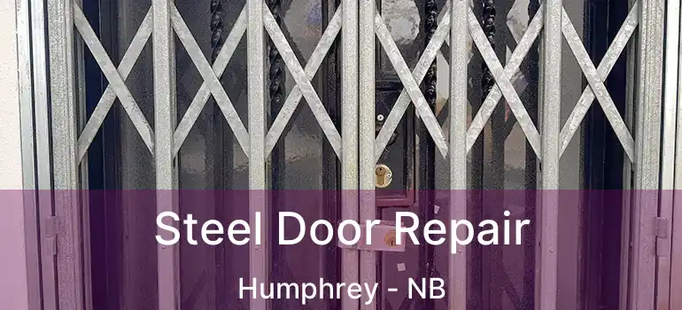  Steel Door Repair Humphrey - NB
