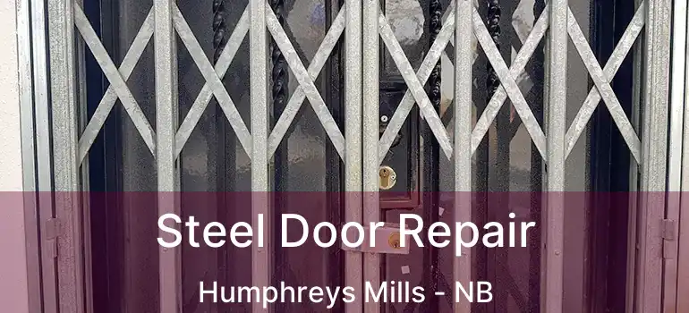  Steel Door Repair Humphreys Mills - NB