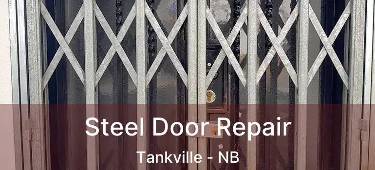  Steel Door Repair Tankville - NB