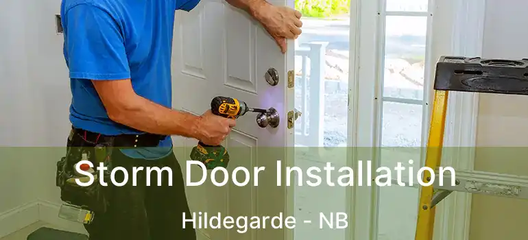  Storm Door Installation Hildegarde - NB