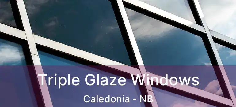  Triple Glaze Windows Caledonia - NB