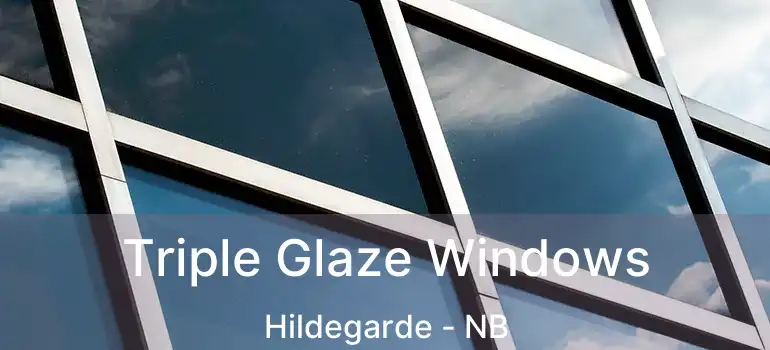  Triple Glaze Windows Hildegarde - NB