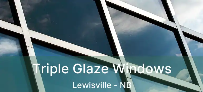  Triple Glaze Windows Lewisville - NB