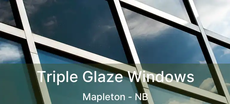  Triple Glaze Windows Mapleton - NB