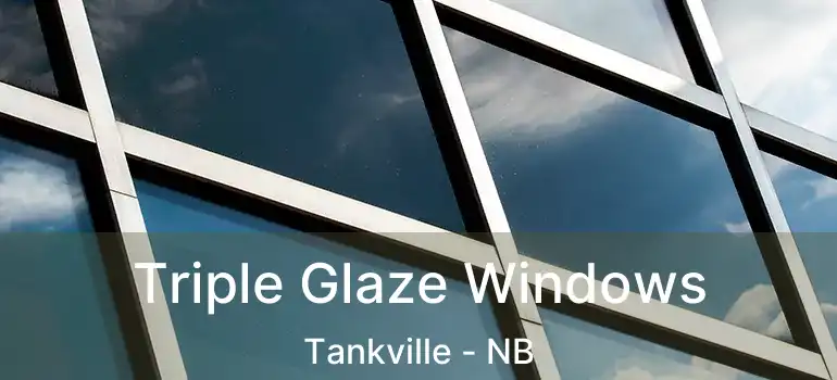  Triple Glaze Windows Tankville - NB