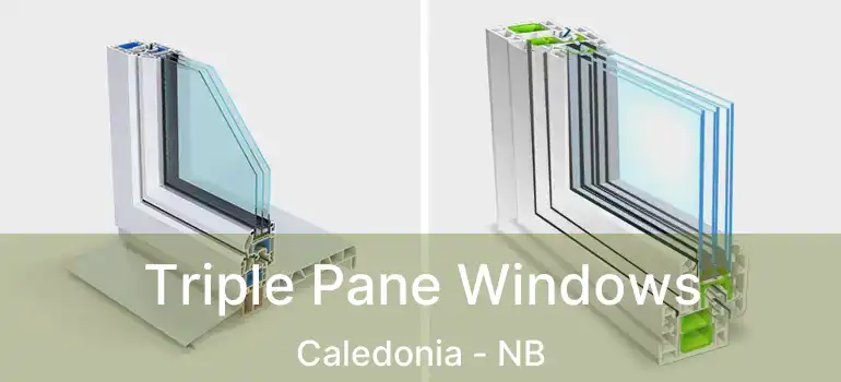  Triple Pane Windows Caledonia - NB