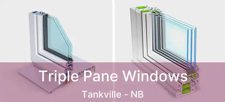  Triple Pane Windows Tankville - NB