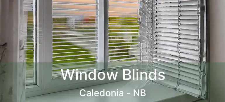  Window Blinds Caledonia - NB