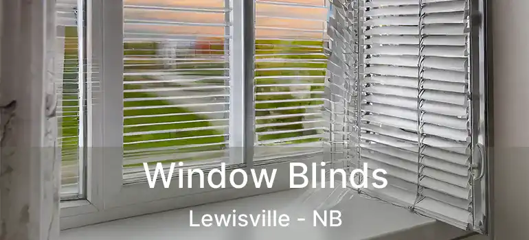  Window Blinds Lewisville - NB