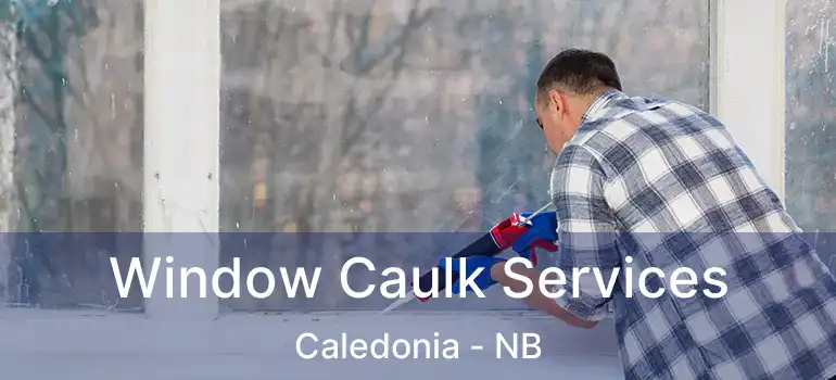  Window Caulk Services Caledonia - NB