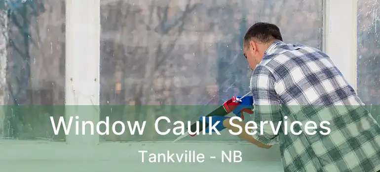  Window Caulk Services Tankville - NB