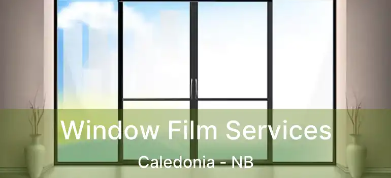  Window Film Services Caledonia - NB