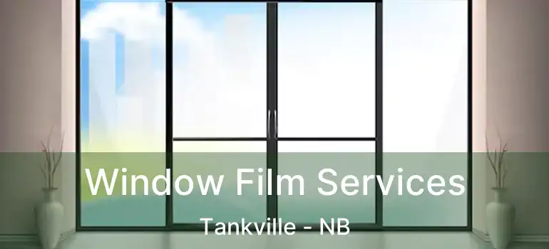  Window Film Services Tankville - NB