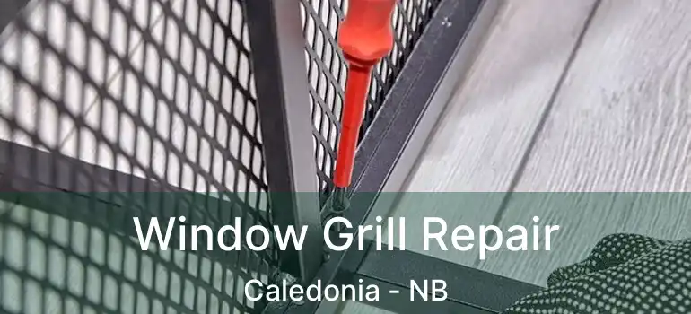  Window Grill Repair Caledonia - NB
