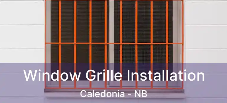  Window Grille Installation Caledonia - NB