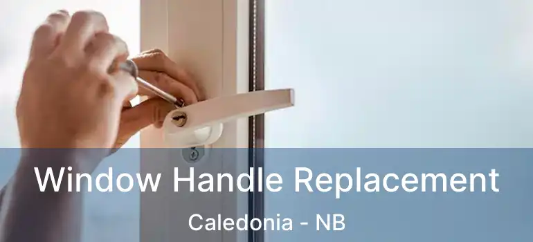  Window Handle Replacement Caledonia - NB