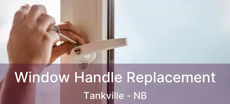  Window Handle Replacement Tankville - NB