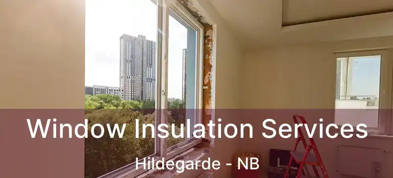  Window Insulation Services Hildegarde - NB