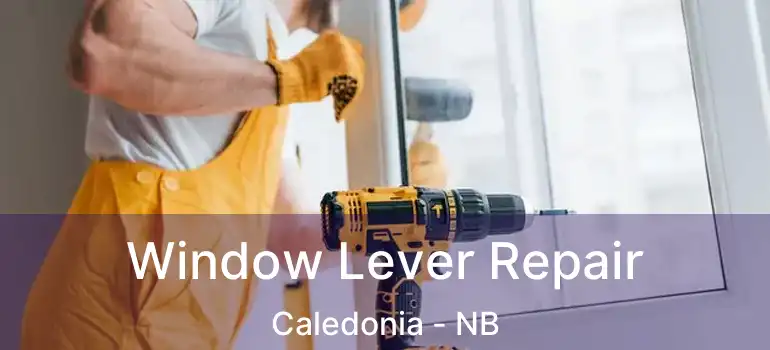  Window Lever Repair Caledonia - NB