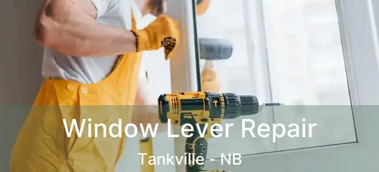  Window Lever Repair Tankville - NB