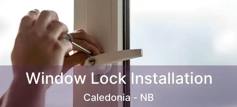  Window Lock Installation Caledonia - NB