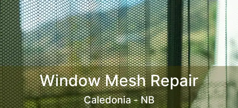  Window Mesh Repair Caledonia - NB