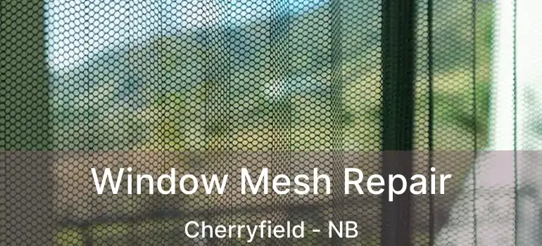  Window Mesh Repair Cherryfield - NB