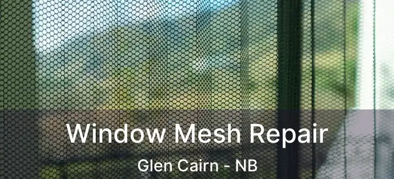  Window Mesh Repair Glen Cairn - NB