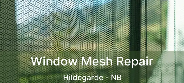  Window Mesh Repair Hildegarde - NB