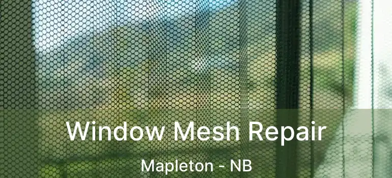  Window Mesh Repair Mapleton - NB