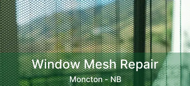  Window Mesh Repair Moncton - NB