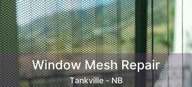  Window Mesh Repair Tankville - NB