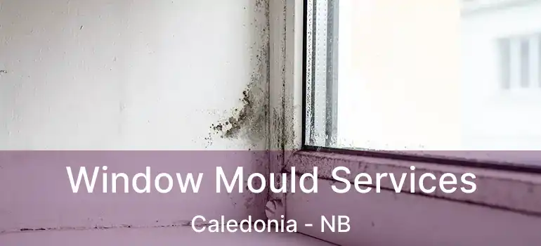  Window Mould Services Caledonia - NB