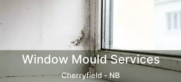  Window Mould Services Cherryfield - NB