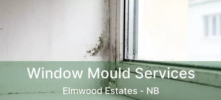  Window Mould Services Elmwood Estates - NB