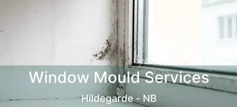  Window Mould Services Hildegarde - NB