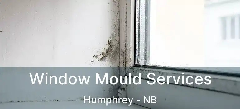  Window Mould Services Humphrey - NB