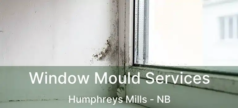  Window Mould Services Humphreys Mills - NB