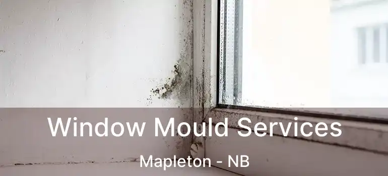  Window Mould Services Mapleton - NB