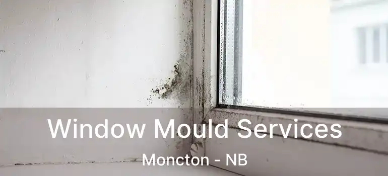  Window Mould Services Moncton - NB