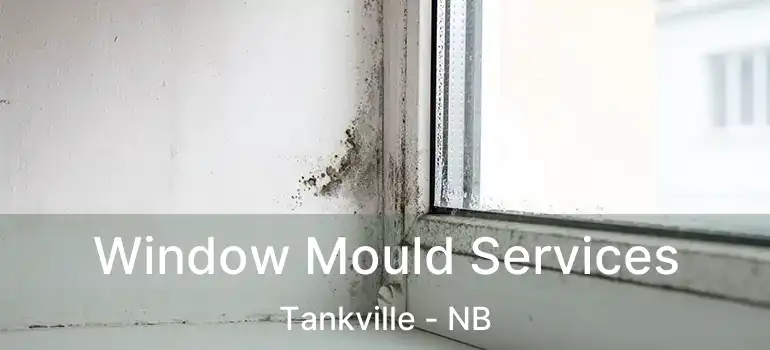  Window Mould Services Tankville - NB