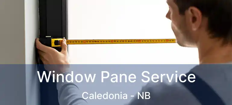  Window Pane Service Caledonia - NB