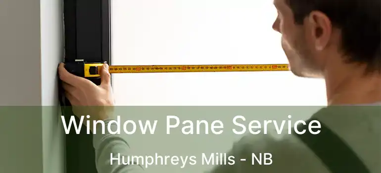  Window Pane Service Humphreys Mills - NB