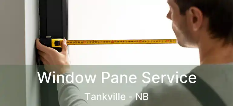  Window Pane Service Tankville - NB