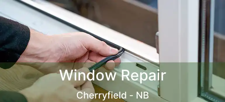  Window Repair Cherryfield - NB