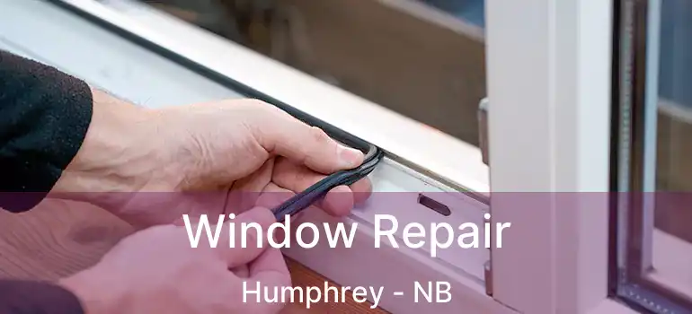  Window Repair Humphrey - NB