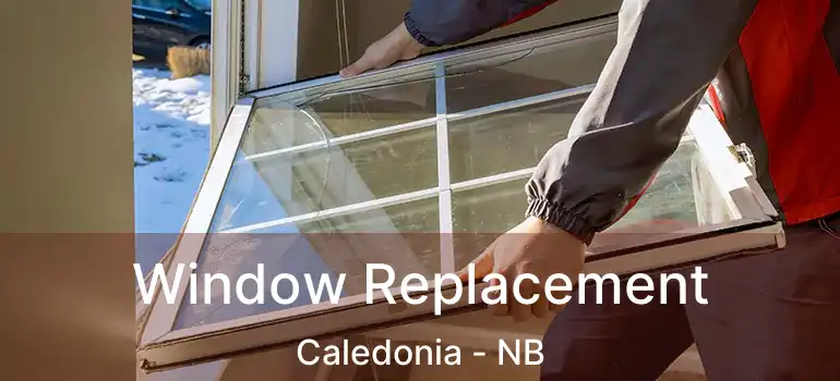  Window Replacement Caledonia - NB
