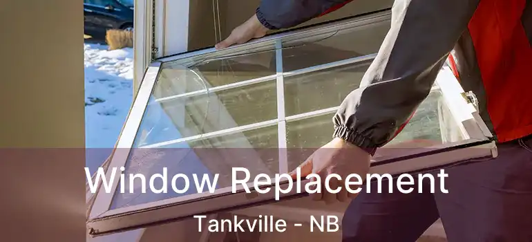  Window Replacement Tankville - NB